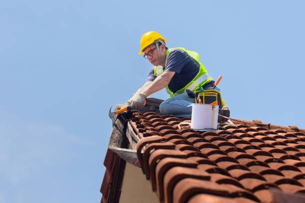 Best Roof Maintenance and Cleaning  in USA